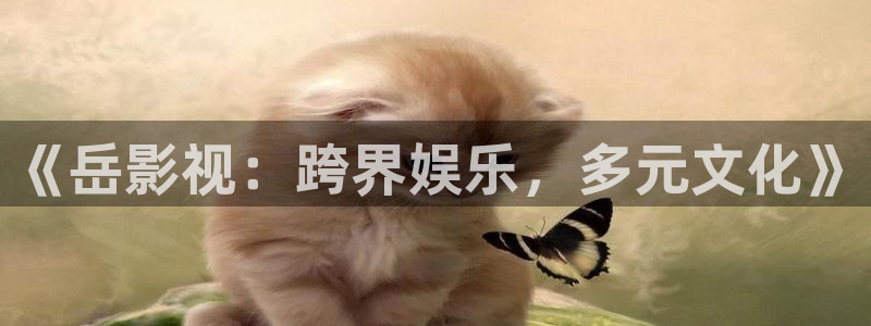 紅桃影視免費在線觀看